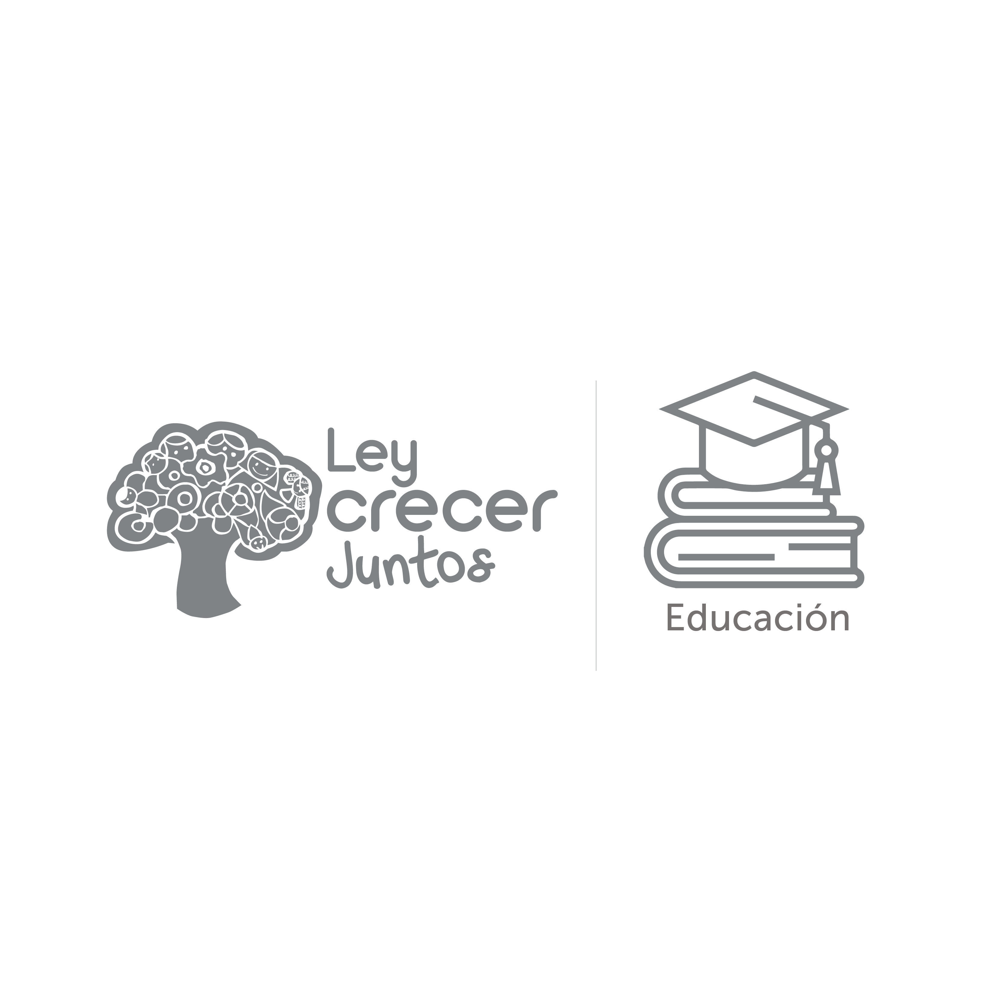 Ley Crecer Juntos - Educación 3